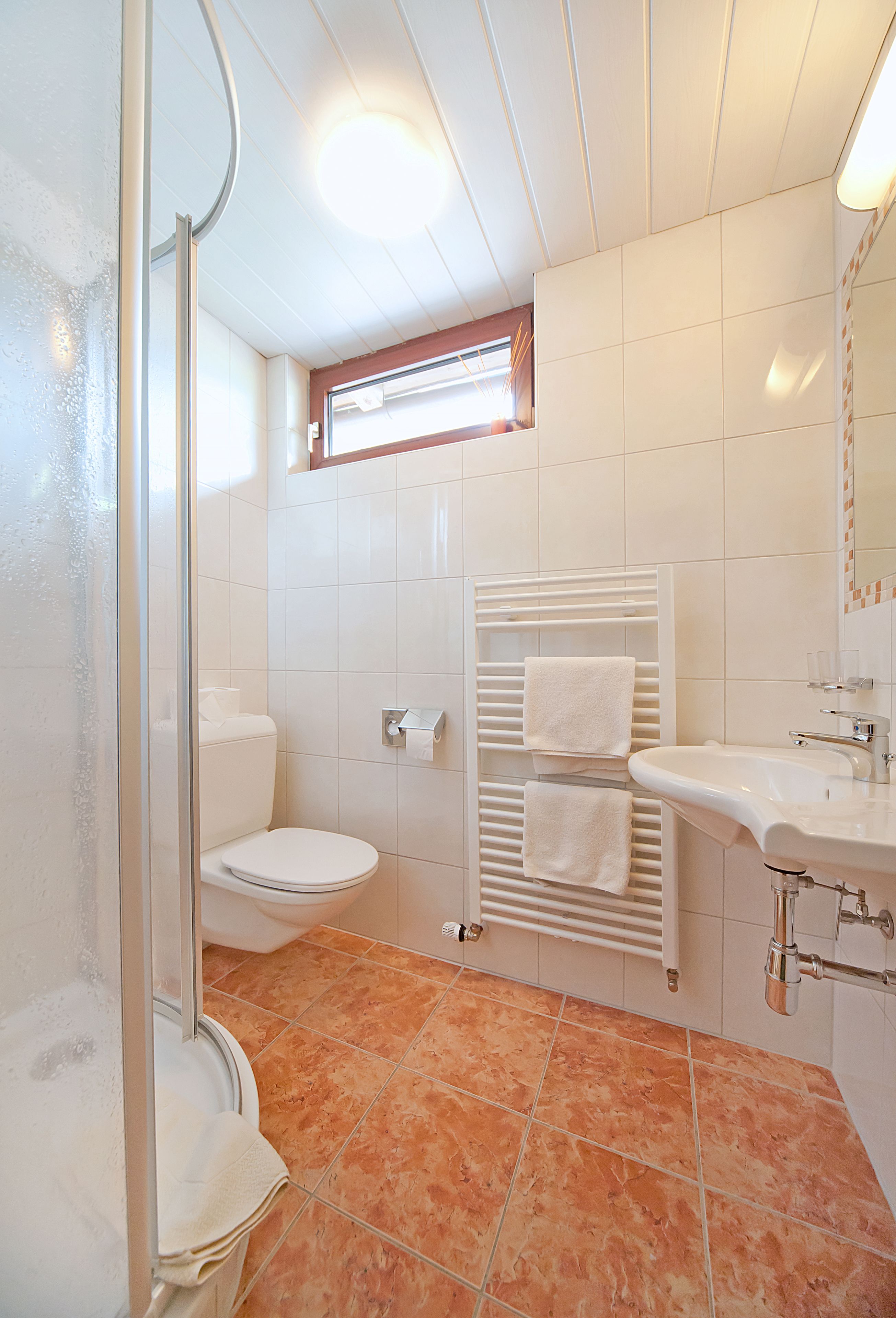 standard double room, mountain view | bathroom | shower, free toiletries, hair dryer, towels