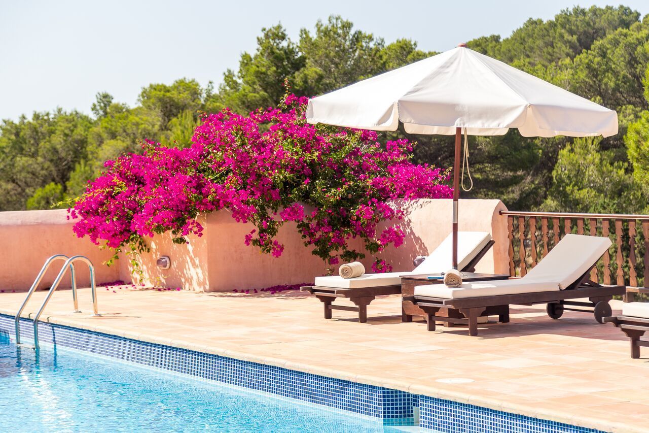 Seasonal outdoor pool, pool umbrellas, pool loungers