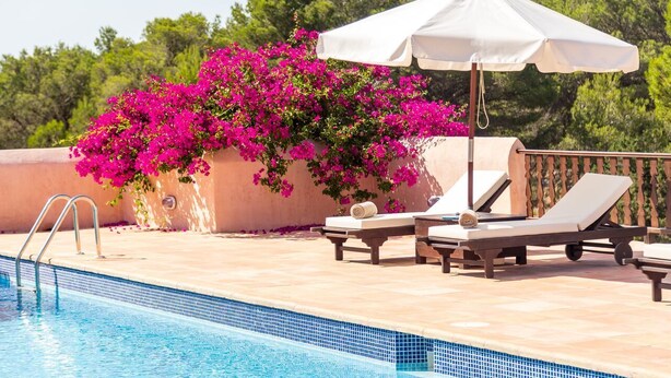 A poolside area with lounge chairs, a white umbrella, and vibrant pink bougainvillea flowers. - Agroturismo Can Pujolet (Sant Antoni de Portmany)
