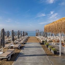 Beach bar