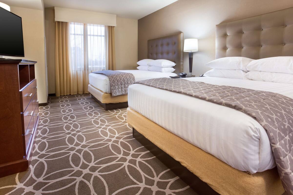 A hotel room with two beds, a TV, a desk, and a patterned carpet.