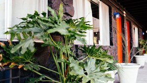 Potted plants in front of a building with a stone wall and windows.