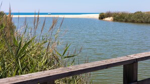 A calm body of water with a sandy beach and grassy areas.