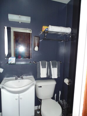 Bathroom - Brookside Motel (Wadena)