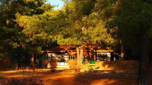 A rustic cabin with a wooden roof, surrounded by dense trees and a dirt path leading to it. - Olathang Hotel (Paro)