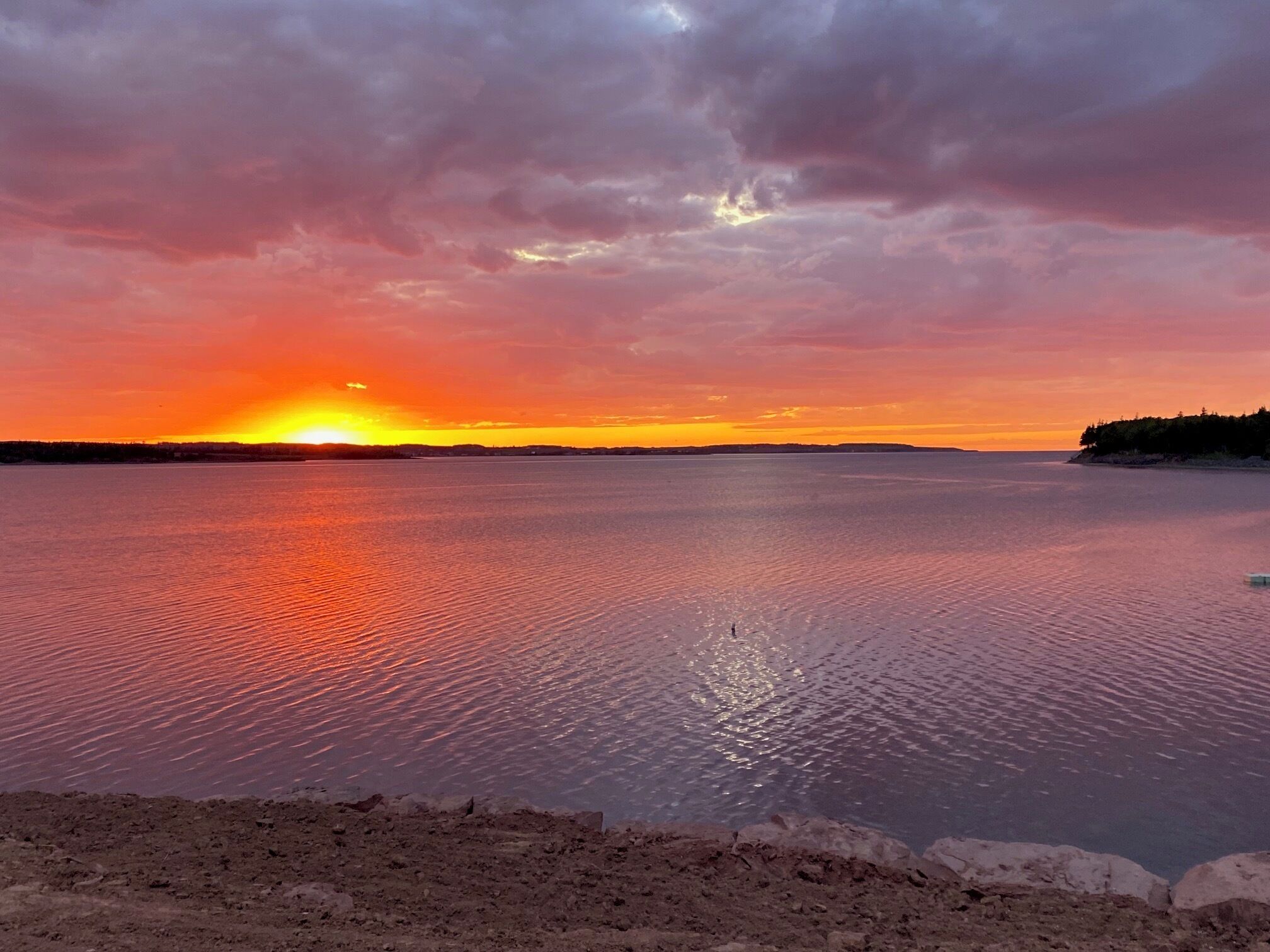 standard room, 1 queen bed | desk, soundproofing, iron/ironing board, free wifi