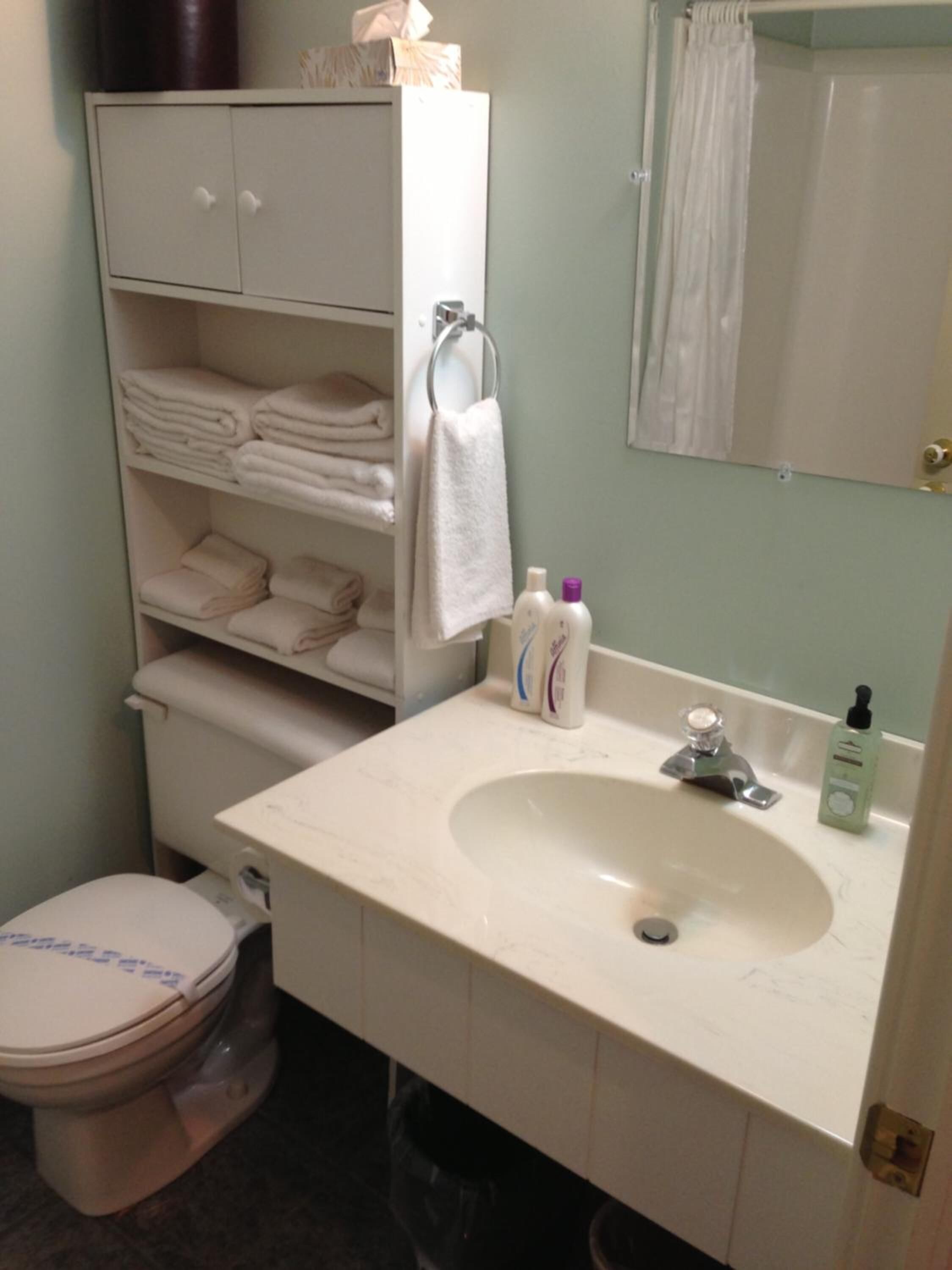 combined shower/bathtub, free toiletries, hair dryer, towels