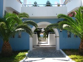 Un sendero conduce a un edificio de fachada azul, bordeado por palmeras y una entrada arqueada.