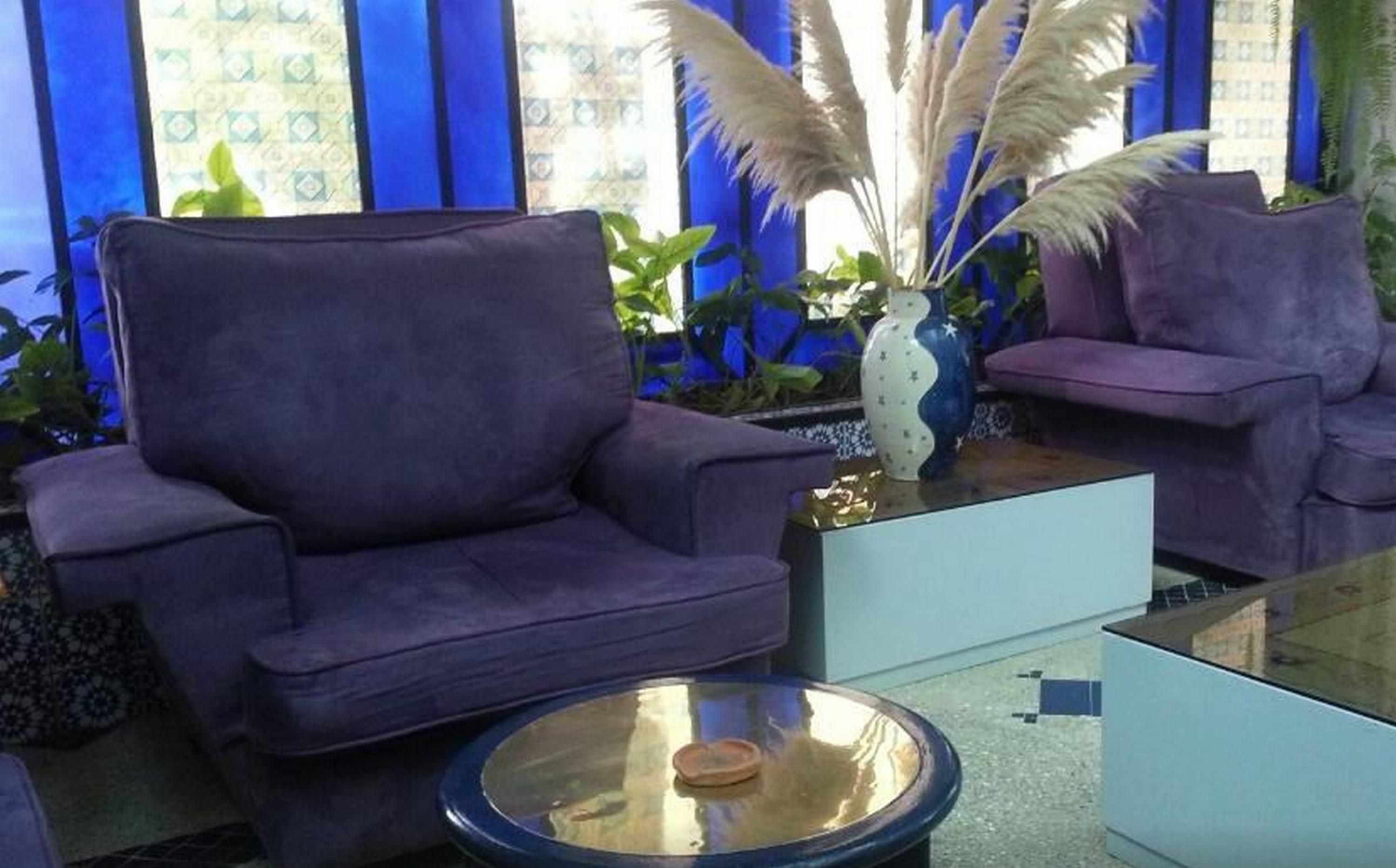 Une pièce avec un canapé violet, une table basse en verre et un vase décoratif contenant des plumes d’herbe des pampas.