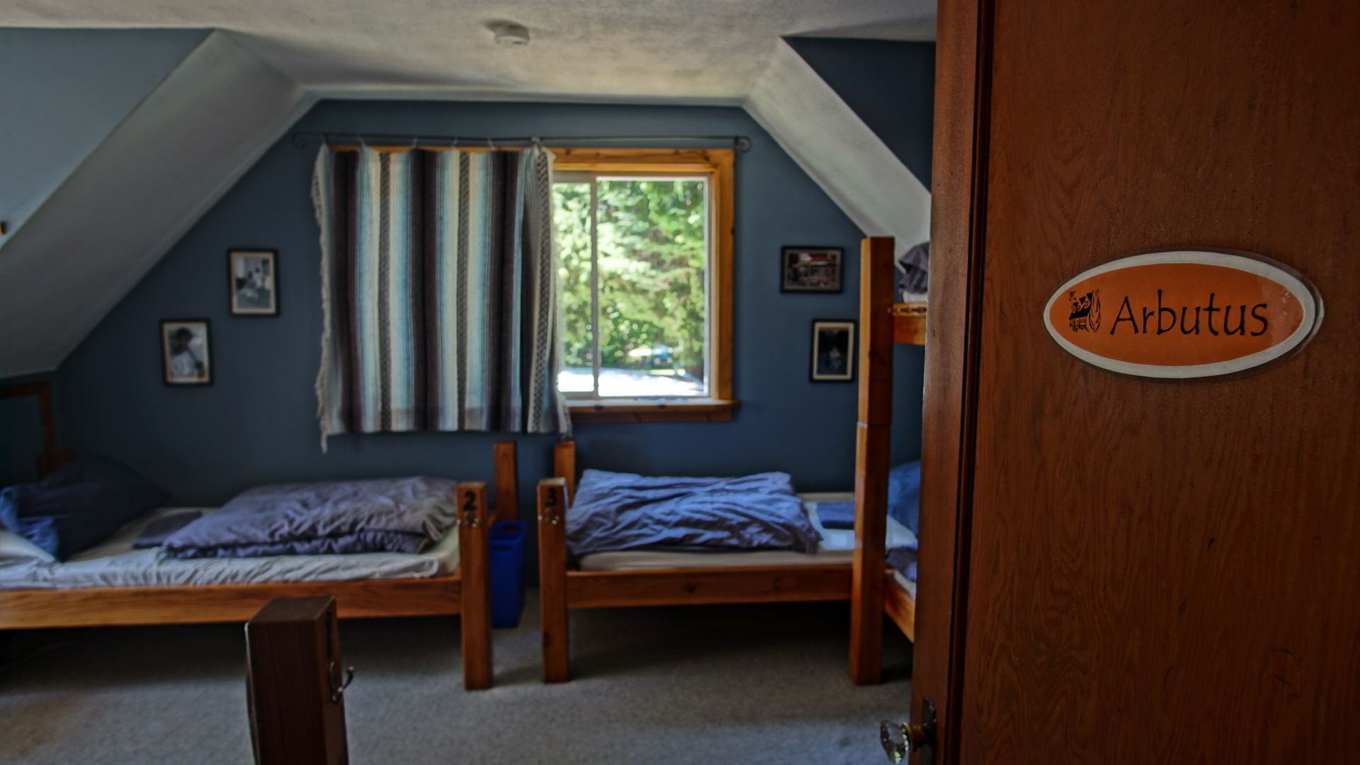 Habitación tipo dormitorio con dos literas, una ventana con cortinas y una puerta con el rótulo "Arbutus".