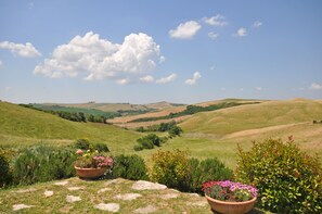 إطلالة الغرفة