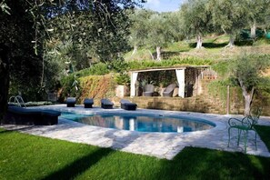 A swimming pool with a stone deck, surrounded by grass and olive trees.