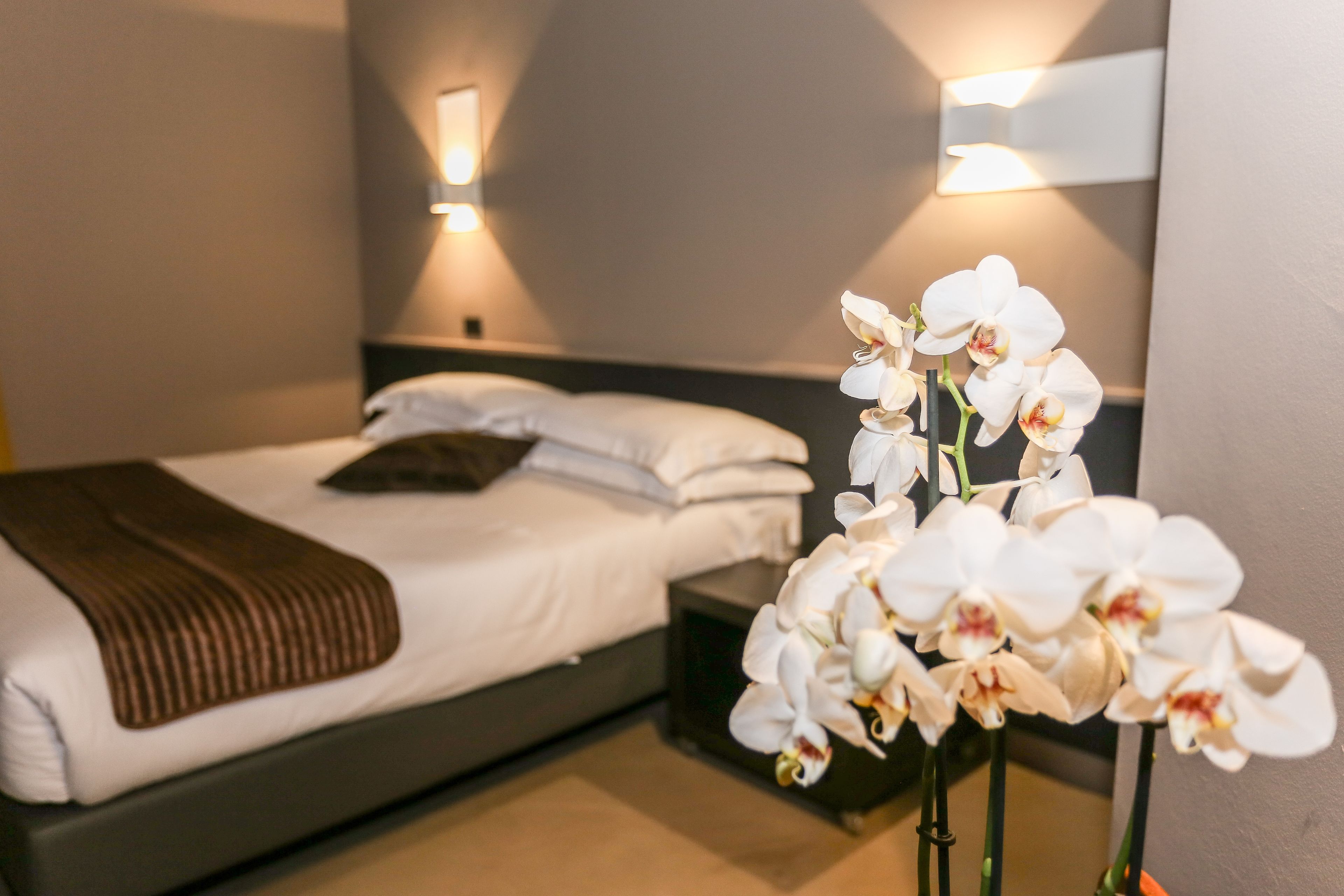 Desk, iron/ironing board, rollaway beds, free WiFi