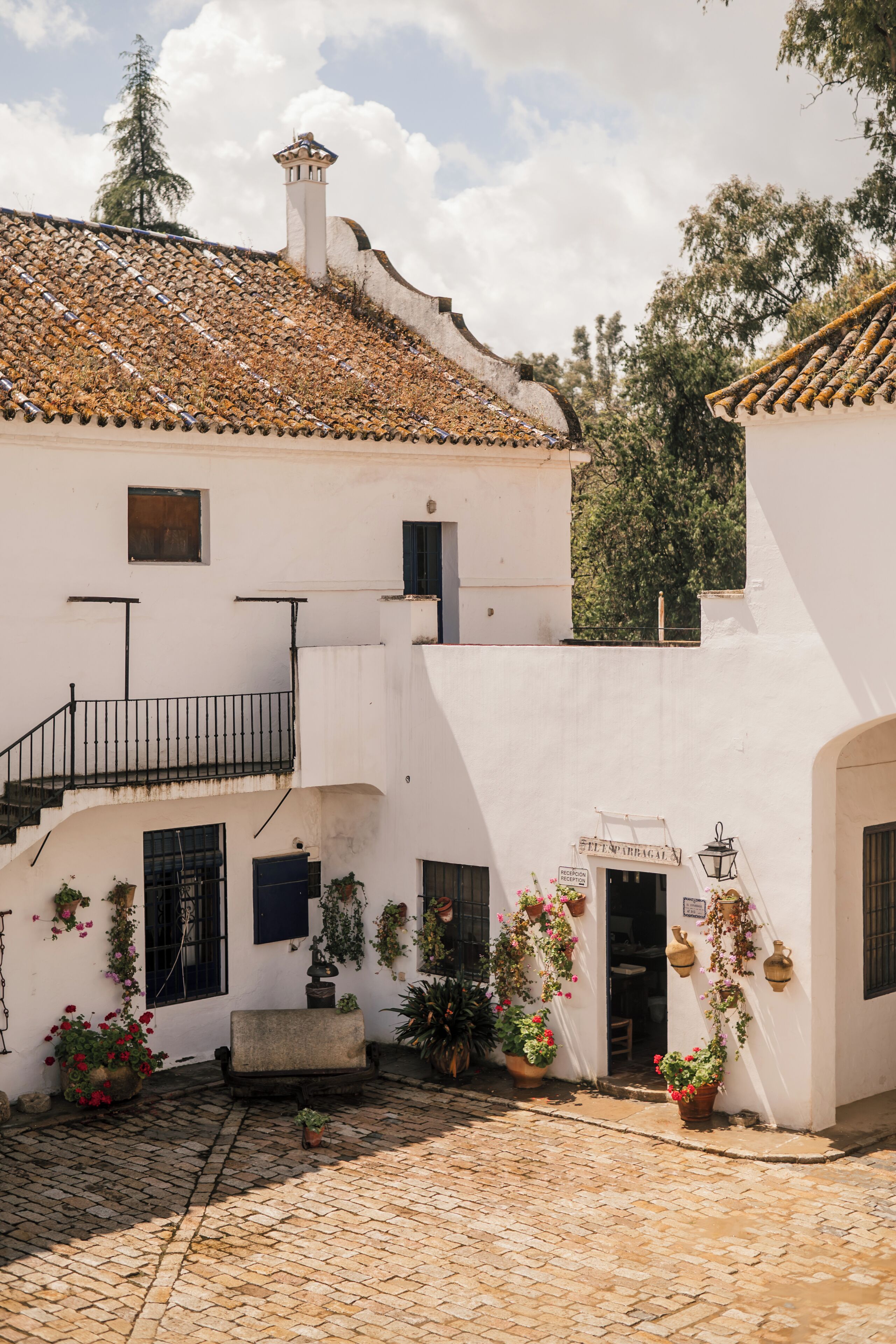 Un patio con techo de tejas, paredes blancas y plantas en macetas.