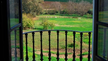 Vista desde la habitación