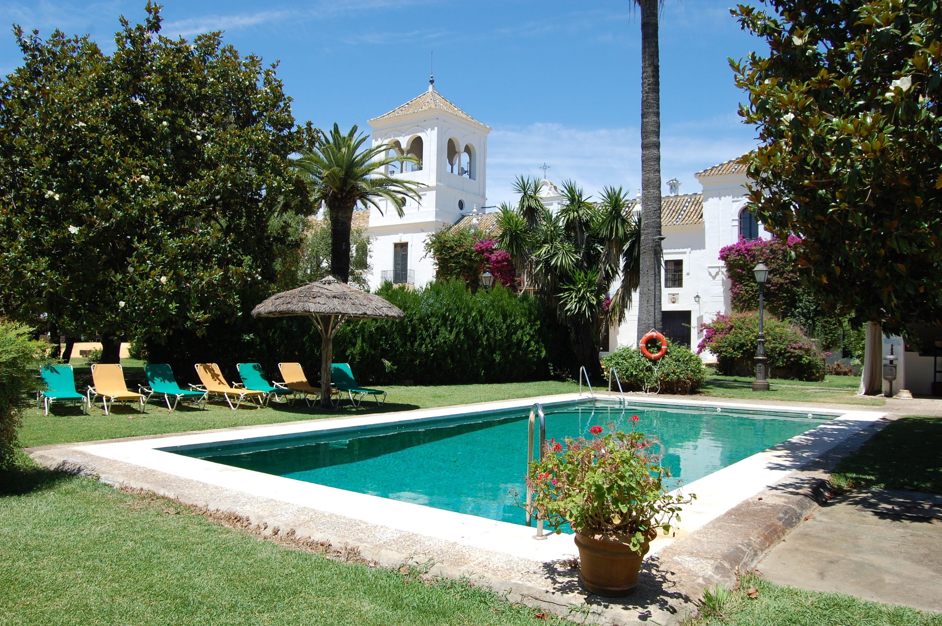 A swimming pool with lounge chairs, a palm tree, and a building with a bell tower.
