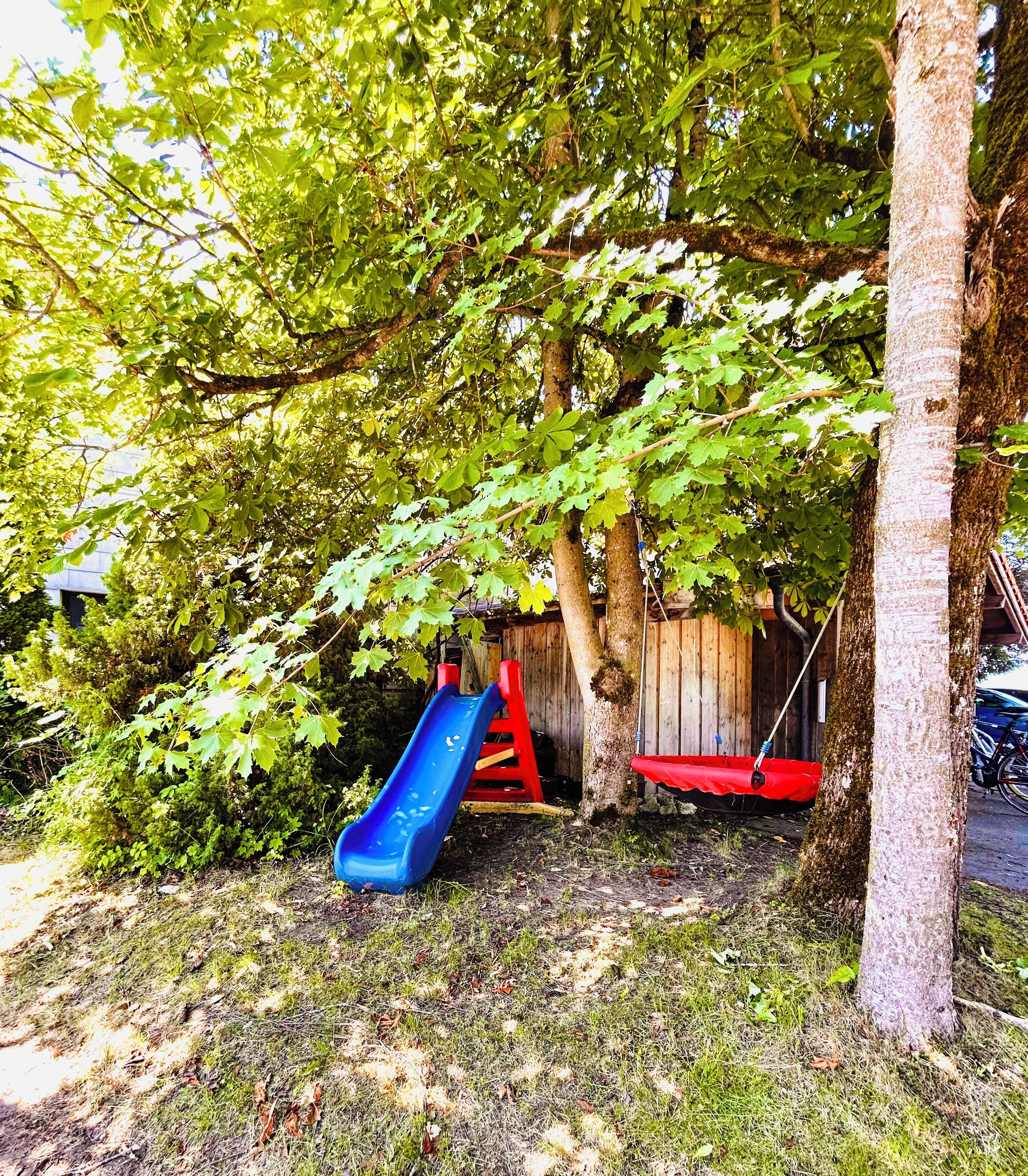 A playground with a blue slide and red play structures, surrounded by trees and a wooden fence.