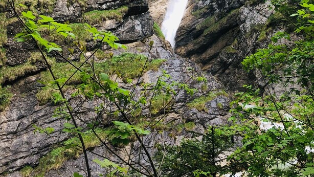 Een waterval die naar beneden stort in een rotsachtige kloof, omgeven door weelderige begroeiing.