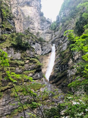 Una cascada se precipita por un desfiladero rocoso rodeado de exuberante vegetación.