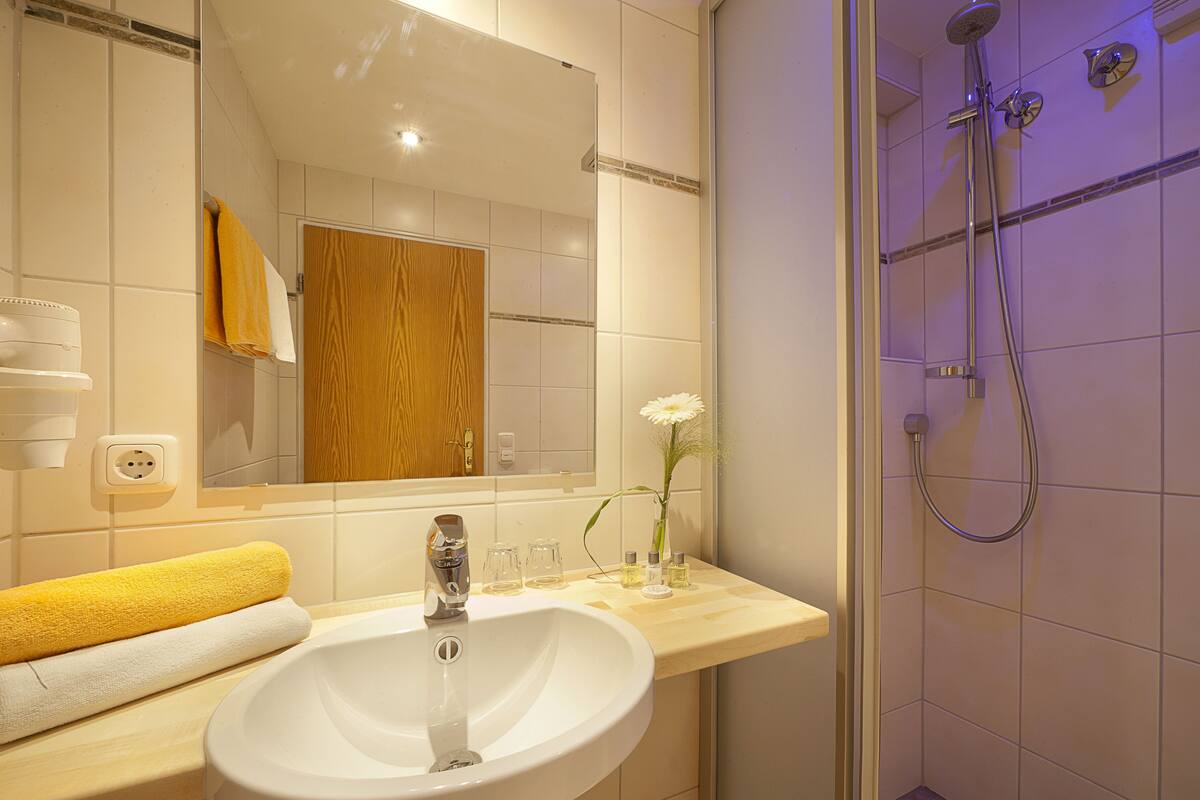 shower, free toiletries, hair dryer, towels