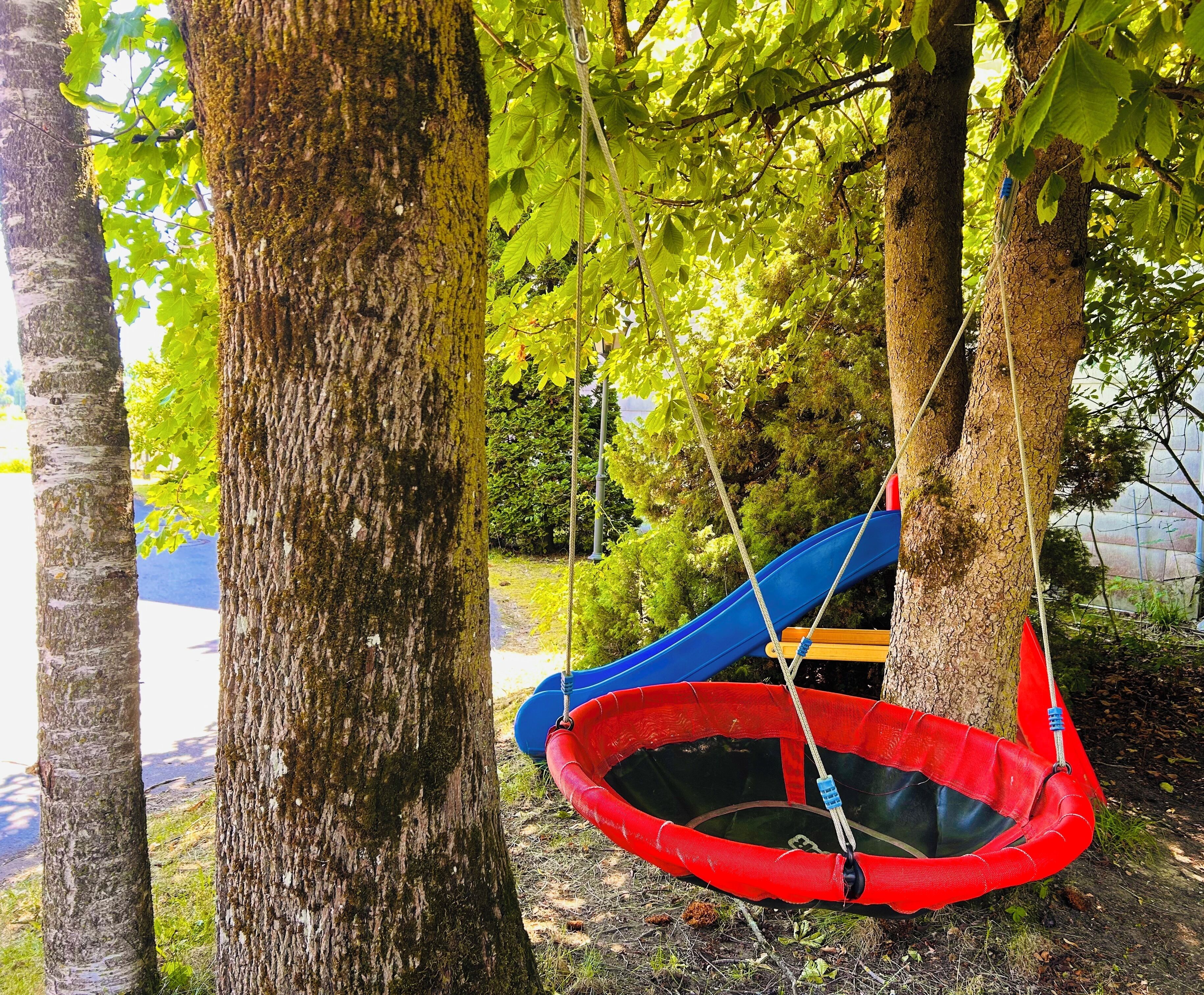 A hammock swing between trees in a natural setting.