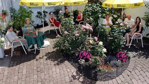 A patio area with outdoor seating under yellow umbrellas, surrounded by flower beds and plants. - Astoria Hotel Trier (Trier)