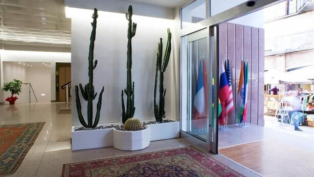 A lobby with a modern design, featuring a glass wall with flags, a potted cactus, and a patterned rug. - Hotel Astoria (Fermo)