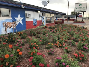 Garden - Shamrock Country Inn (Shamrock)