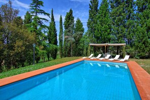 A rectangular swimming pool with a tiled edge, surrounded by a wooden deck. There are six white lounge chairs with umbrellas, and the pool is set against a backdrop of tall evergreen trees. - Villa Leonardo (Vinci)