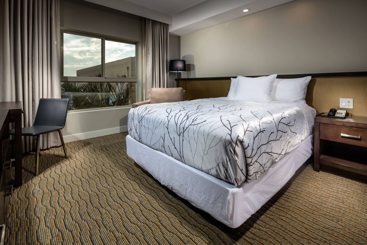A hotel room with a large bed, a desk, a chair, a lamp, and a view of the outside.