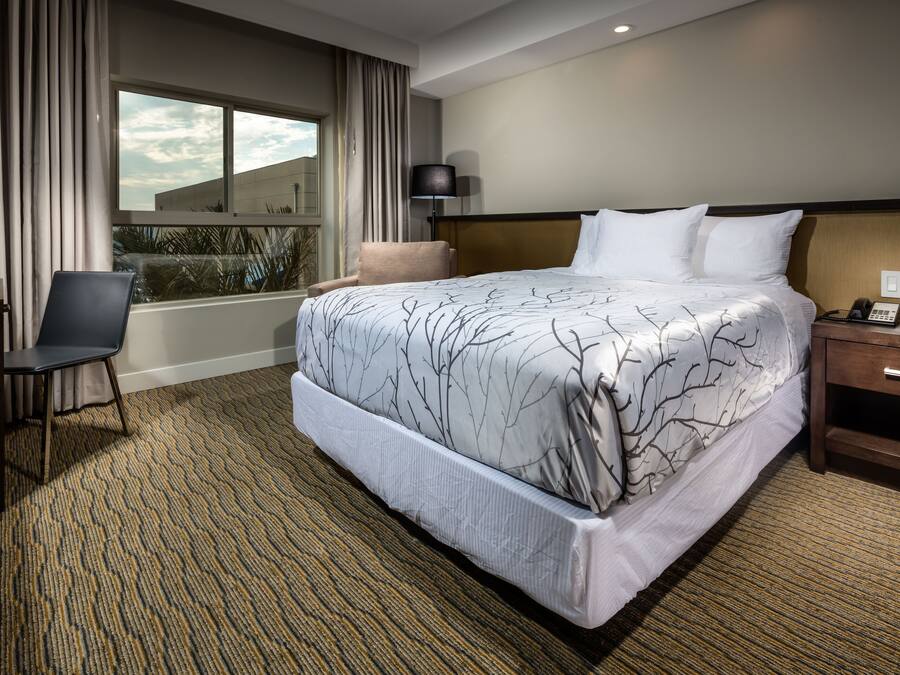 A hotel room with a large bed, a desk, a chair, a lamp, and a view of the outside.