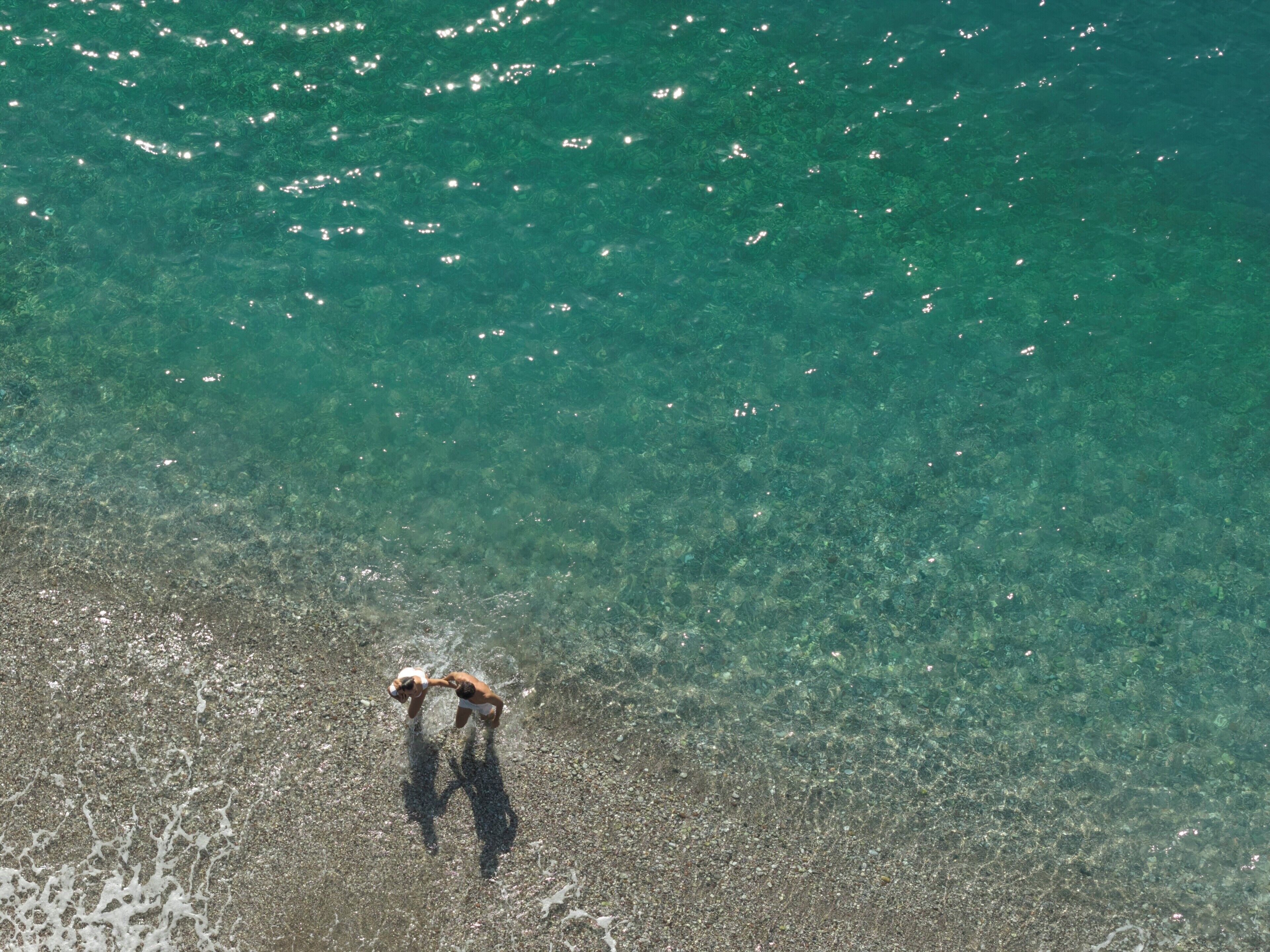 An aerial view of a beach with clear water and a dog near the shore.