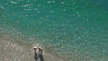 An aerial view of a beach with clear water and a dog near the shore.