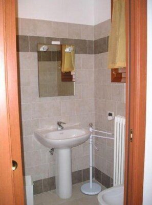 Hair dryer, bidet, soap, toilet paper