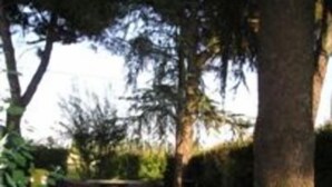 Garden - Agostini Daniela B&B (Cadoneghe)