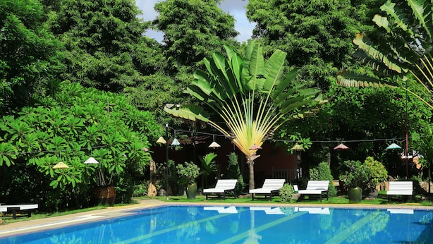 A swimming pool surrounded by lush greenery and shaded by large trees.