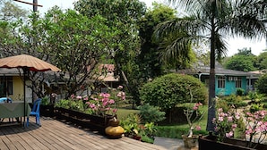 A wooden deck with a table and chairs, surrounded by potted plants and flowering shrubs.