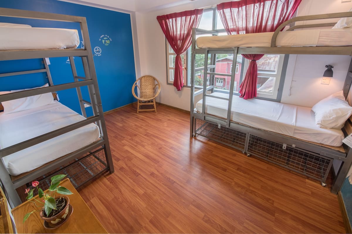 Une chambre de dortoir avec des lits superposés, une chaise en osier et une petite table sur laquelle est posée une plante en pot.