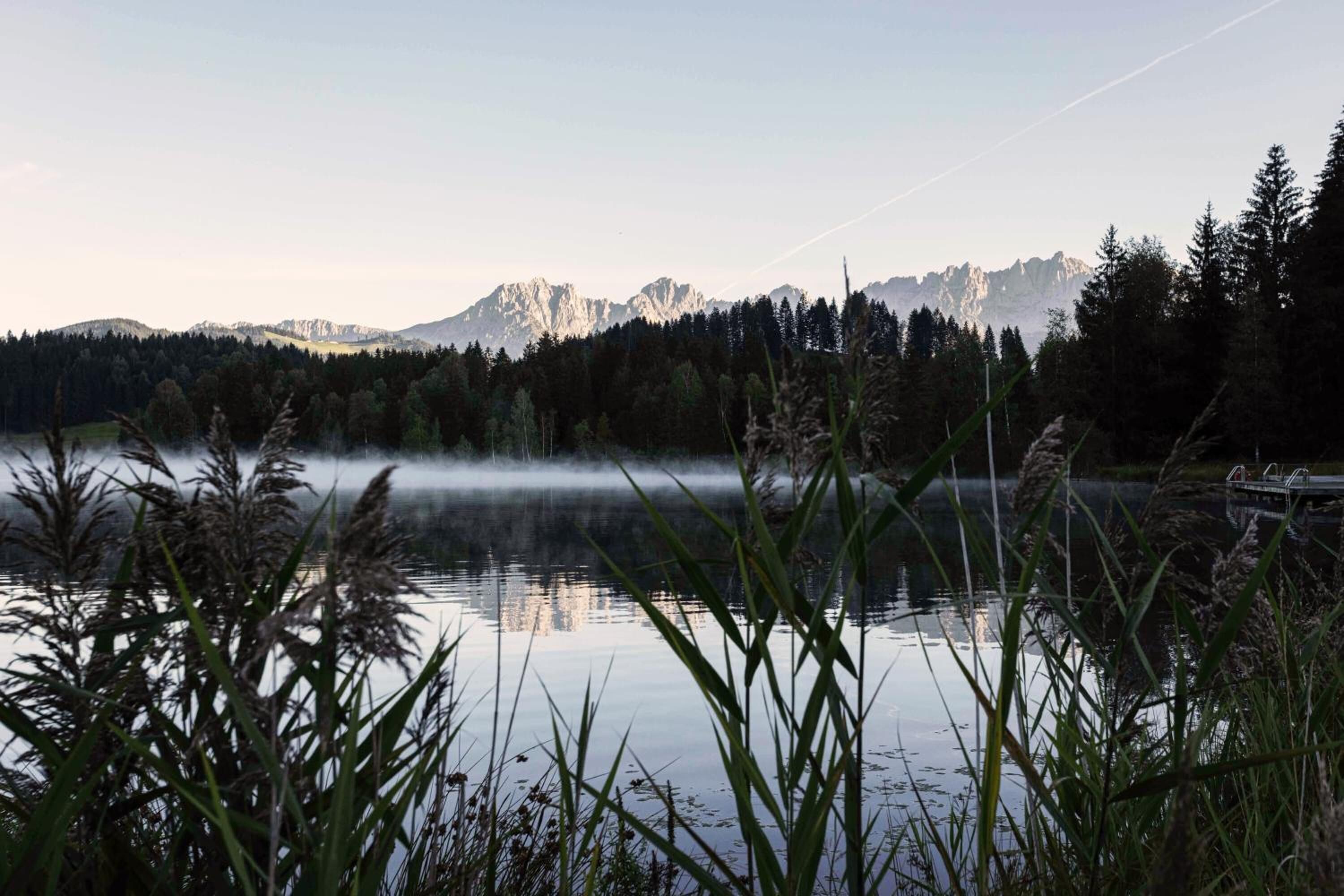A calm lake with a mountain backdrop, surrounded by dense forest.