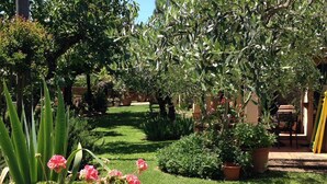 Un jardín bien cuidado con diversas plantas y flores, un sendero empedrado y una zona de estar con mesa y sillas.