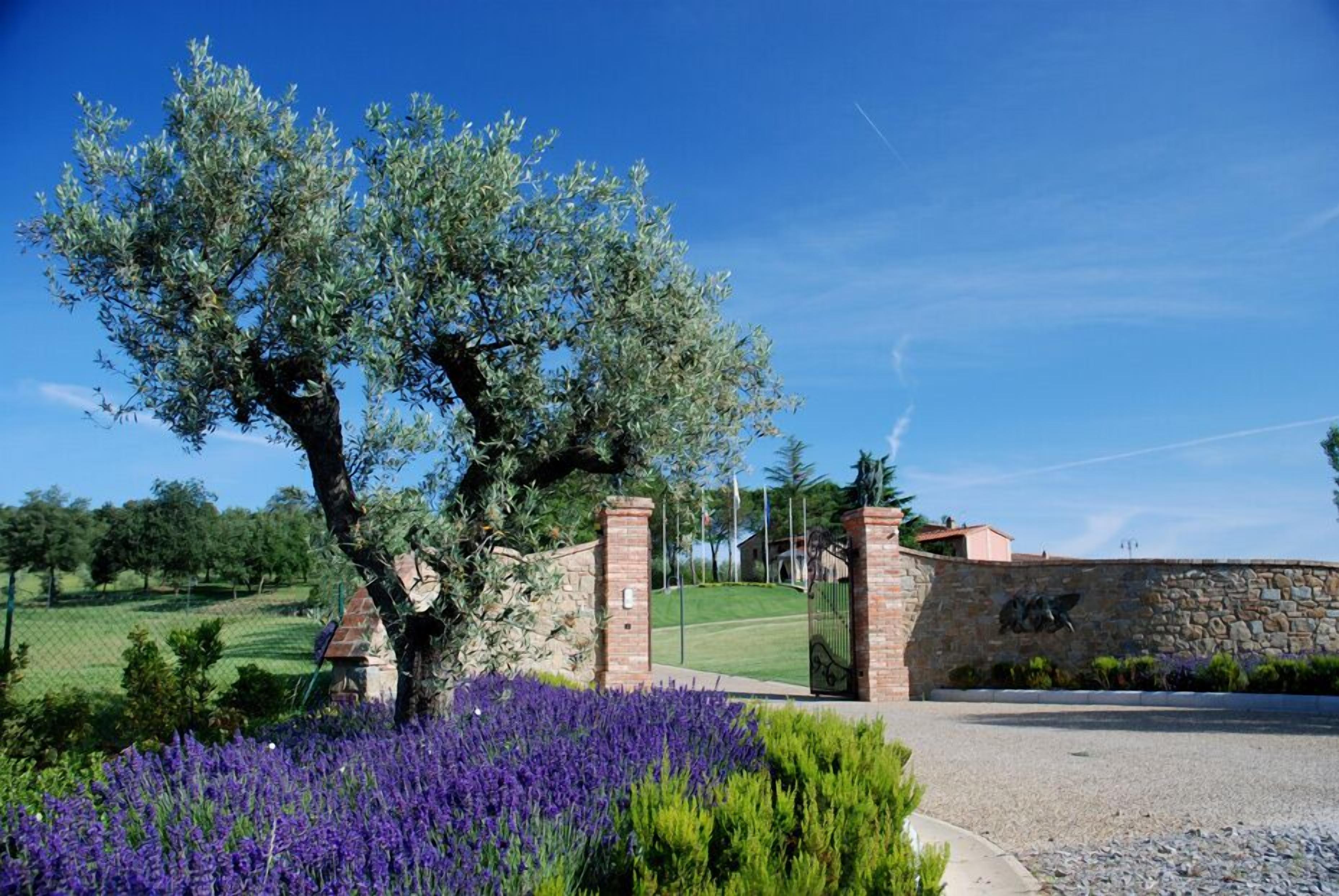 A stone gate with a tree and purple flowers in the foreground, leading to a building with a stone wall and a metal gate.