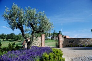 Une porte en pierre, avec un arbre et des fleurs violettes au premier plan, mène à un bâtiment doté d’un mur en pierre et d’une porte en métal.