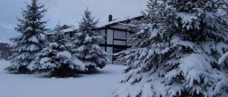 A snow-covered landscape with a building featuring a modern design, surrounded by evergreen trees.