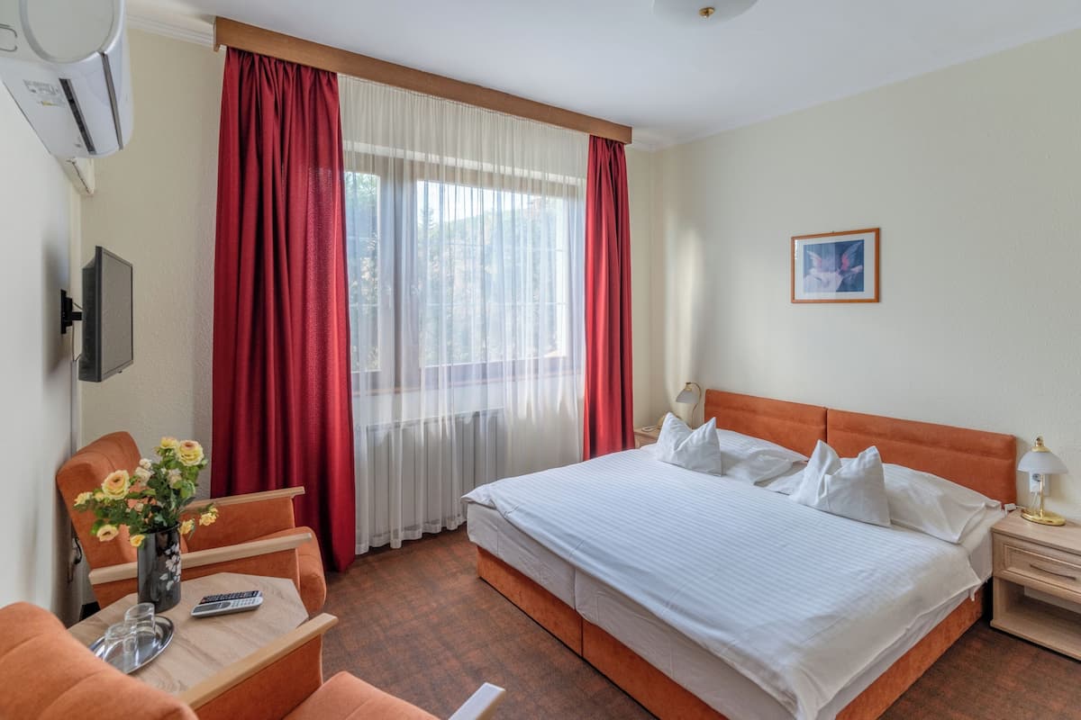 A hotel room with a bed, a desk with a vase of flowers, a chair, a TV, and a window with red curtains.
