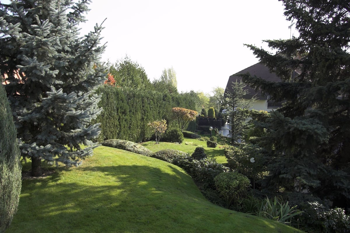 A well-maintained garden with various trees and shrubs, a lawn, and a building in the background.