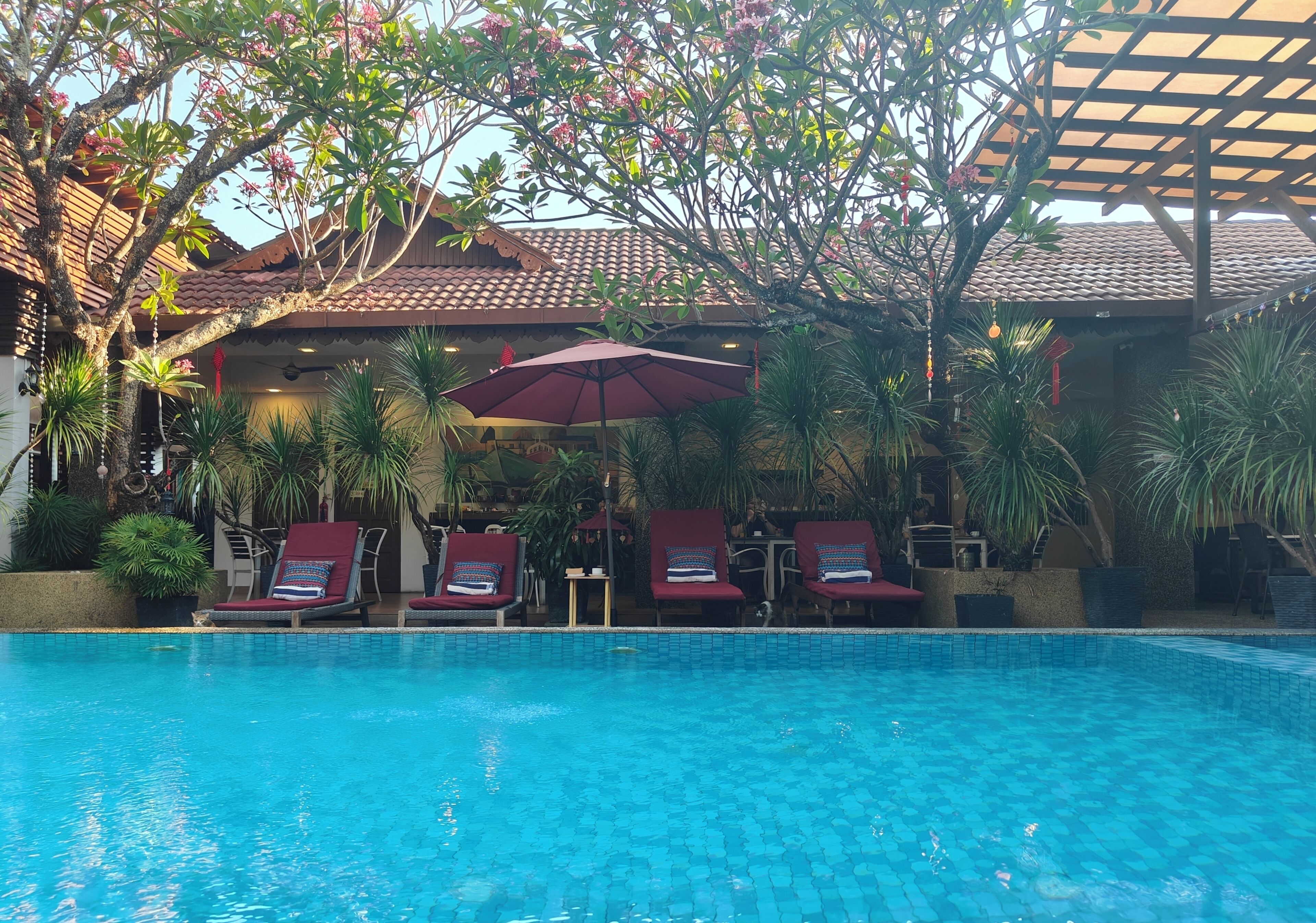 Una piscina con sillas de descanso y sombrillas, rodeada de plantas tropicales y un edificio con techo de tejas.