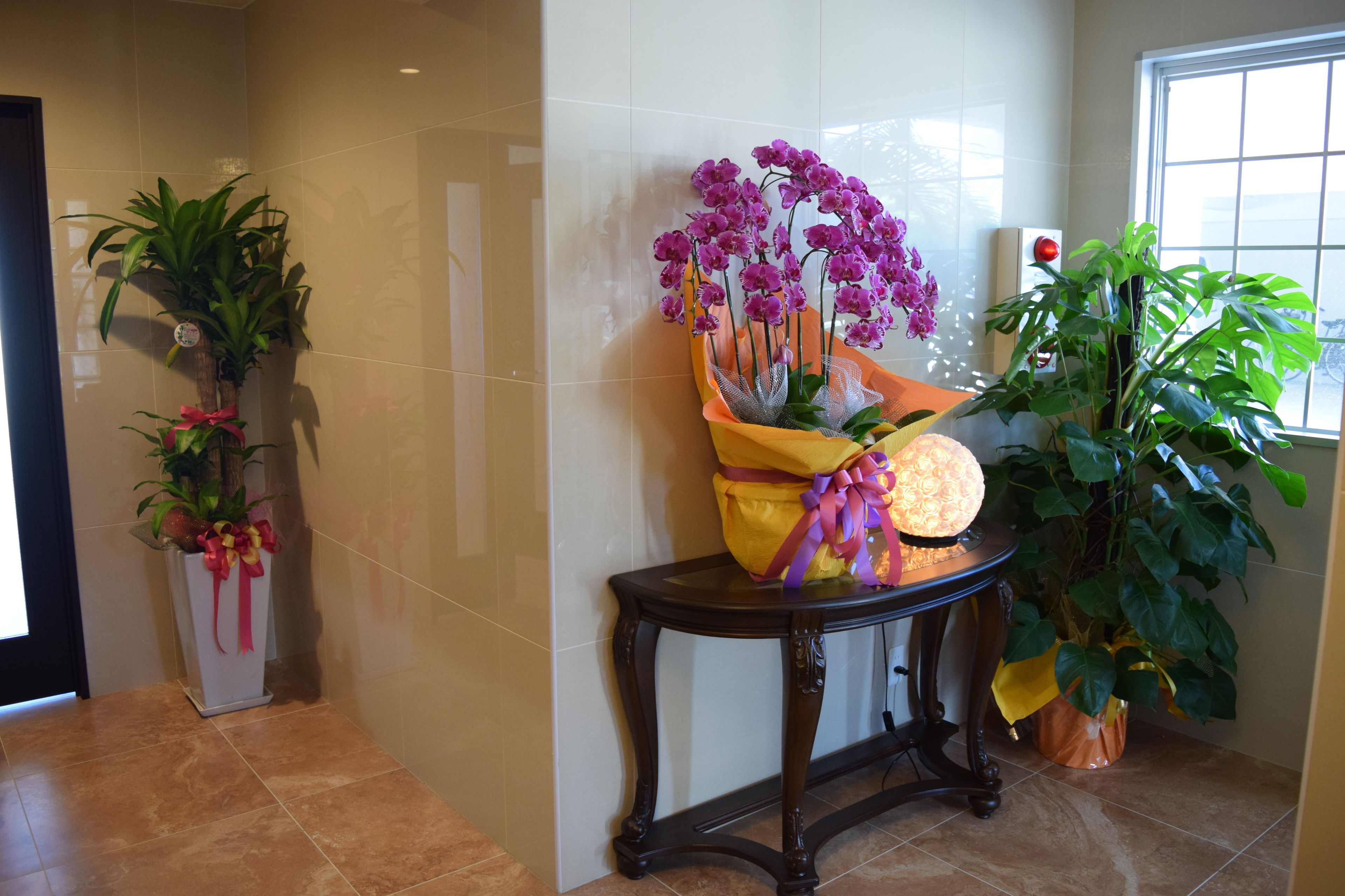 A hallway with a reception desk, potted plants, and a window.
