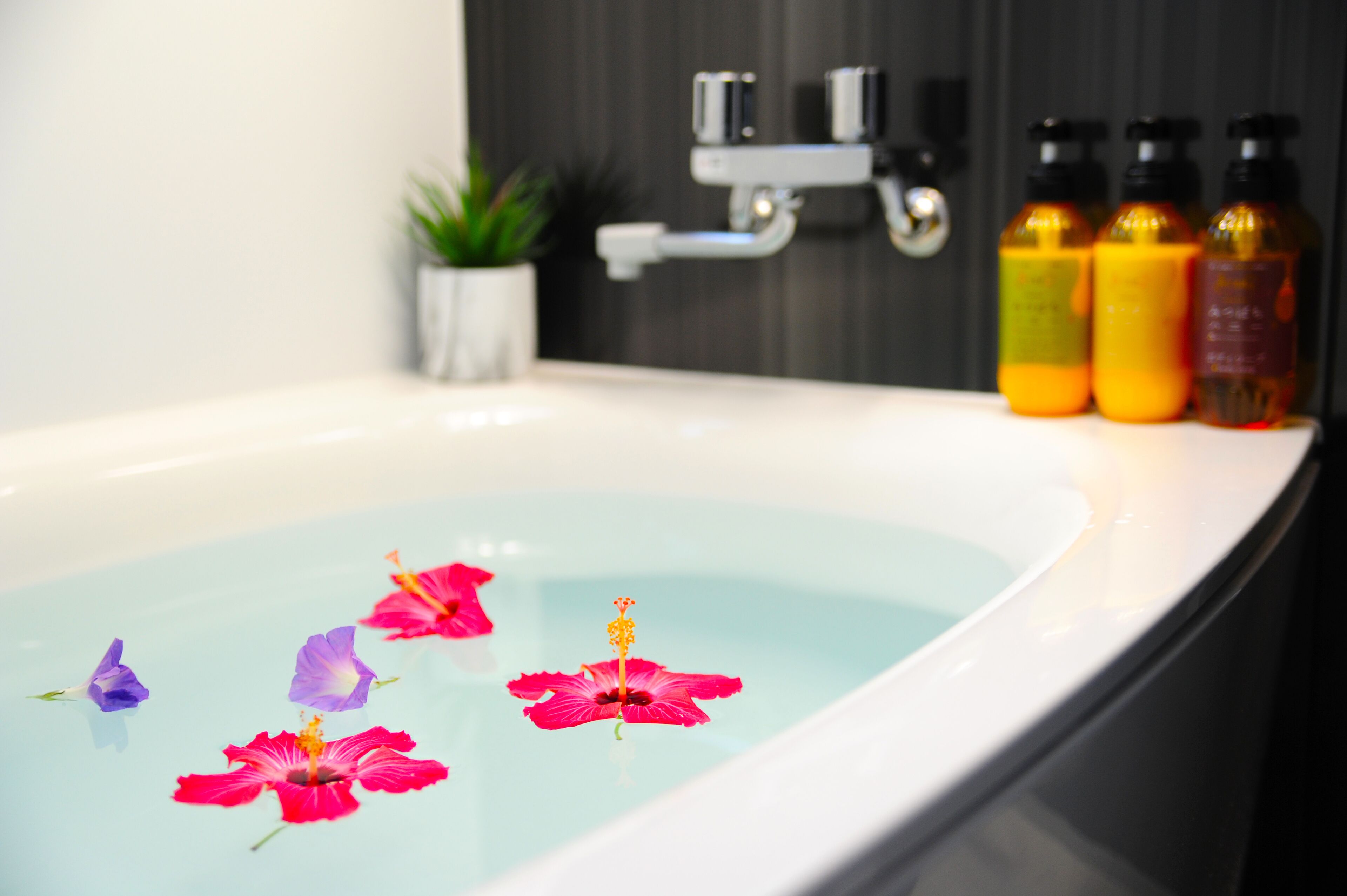 A bathroom with a bathtub filled with water and floating flowers, a potted plant, and three bottles of liquid on the counter.