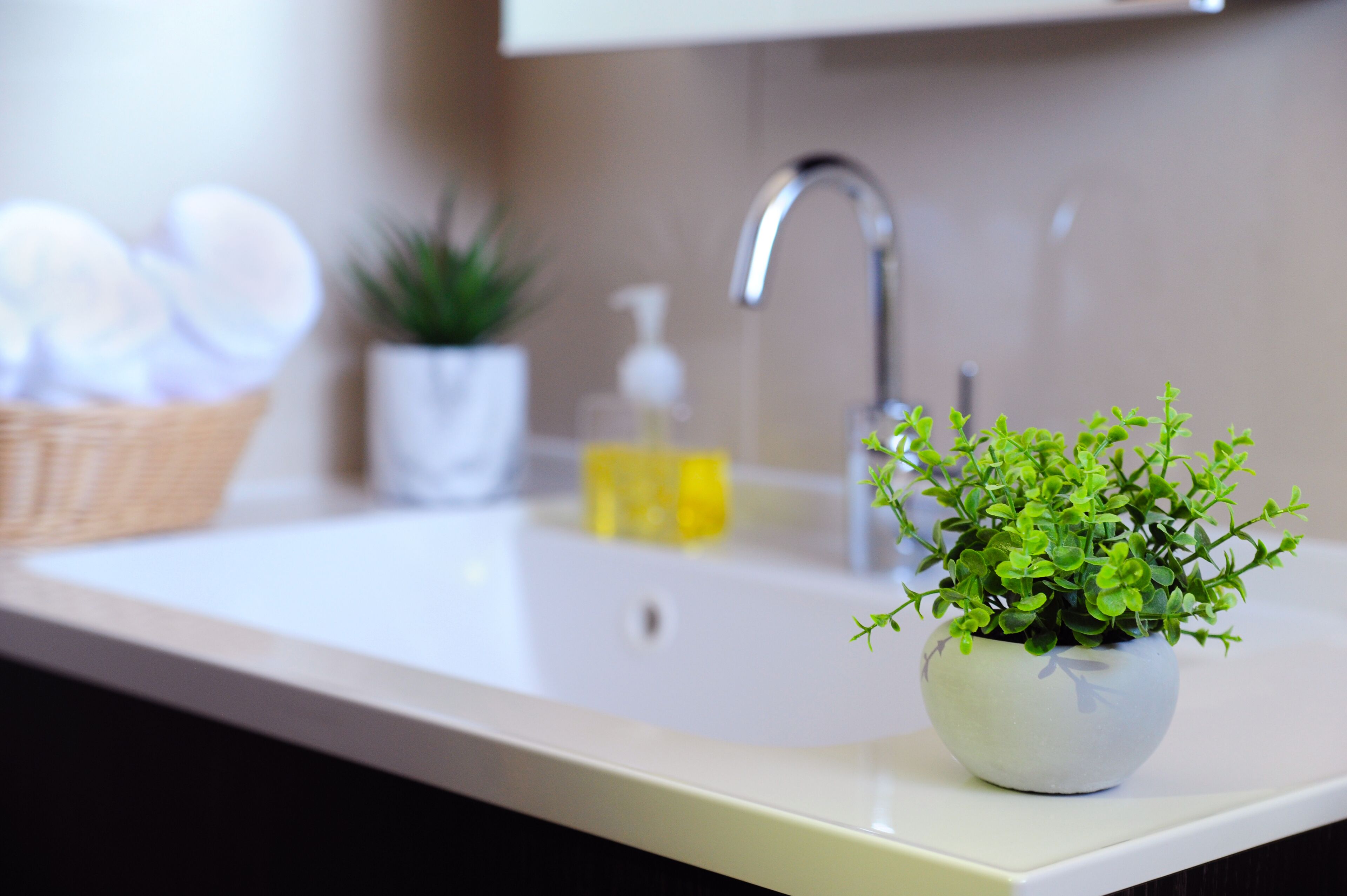 A bathroom sink with a potted plant, a soap dispenser, and a basket of rolled towels.