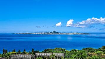 A coastal view with a clear sky, a distant island, and a greenhouse structure.